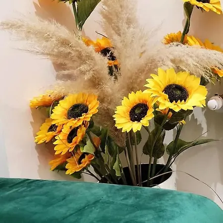 Apartment Novak Luxury *