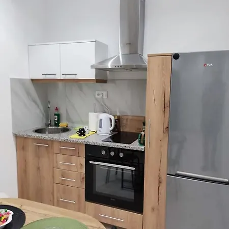 Novak Luxury Apartment Aleksandrovac