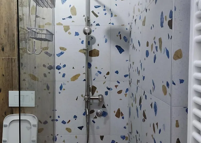 公寓 Novak Luxury Aleksandrovac