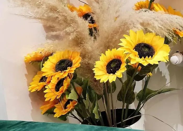 Apartmán Novak Luxury *